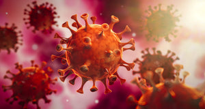 Coronavirus-epidemie: COVID-19 - Alles wat u moet weten